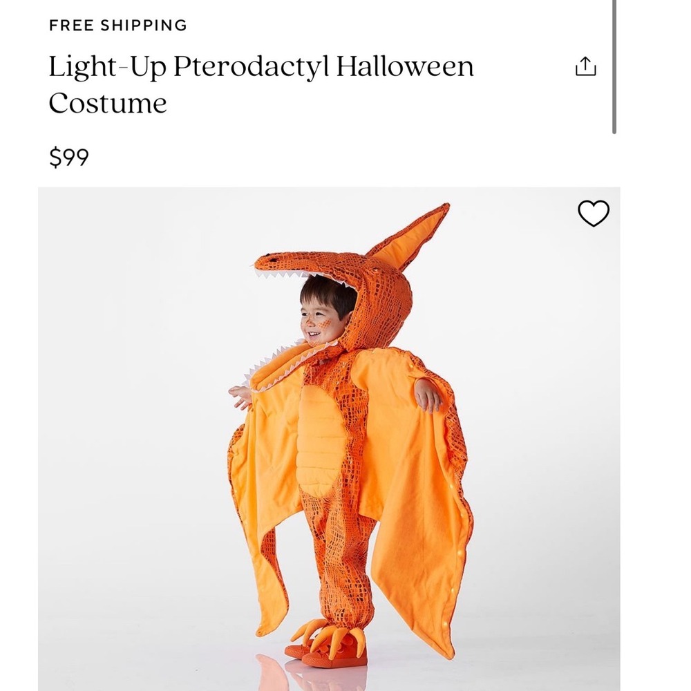 Pottery Barn Kids Pterodactyl Dinosaur Halloween Costume Orange 3T Wings Set